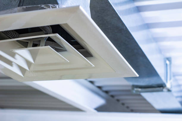 Best Best Air Duct Cleaning Company  in Ara, AL