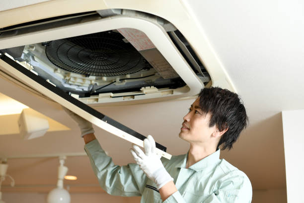 Best Affordable Air Duct Cleaning  in Ara, AL